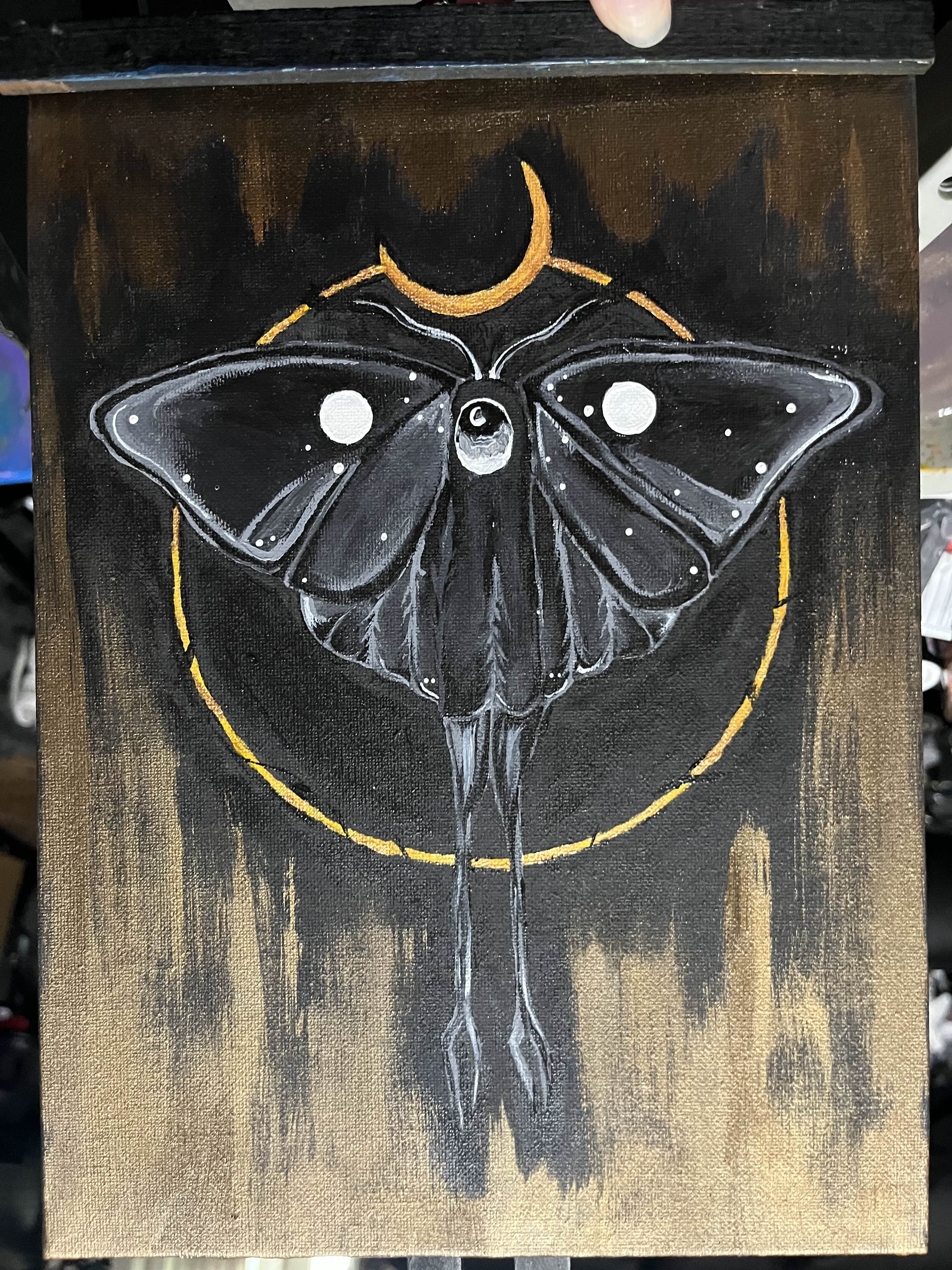 Black canvas lunar moth with crescent halo